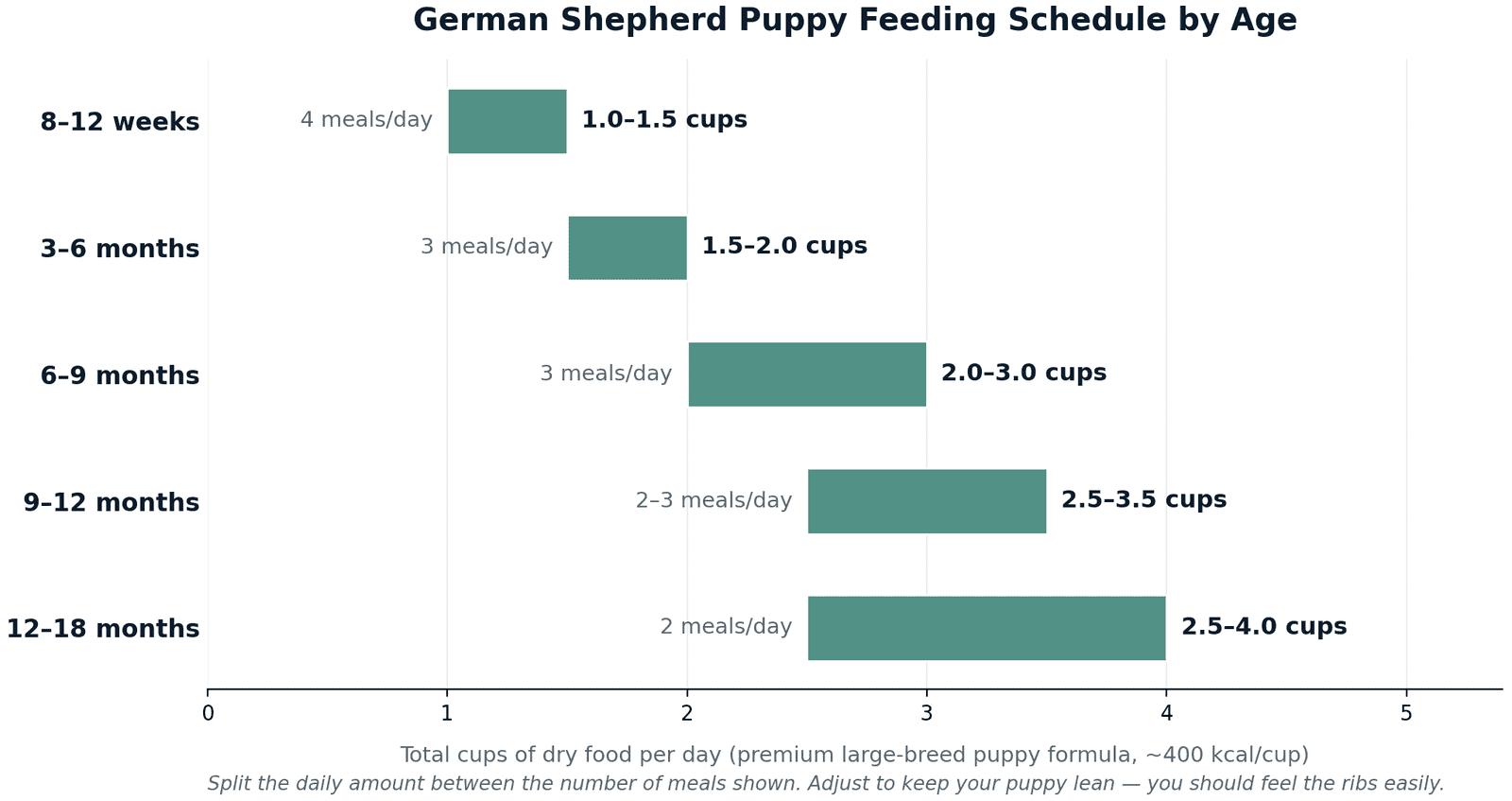 How Much to Feed a German Shepherd Puppy? The Complete Feeding Guide (2026) 2 Feeding schedule chart showing daily cups of food for a German Shepherd puppy by age, from 1 to 1.5 cups at 8 weeks up to 2.5 to 4 cups at 18 months